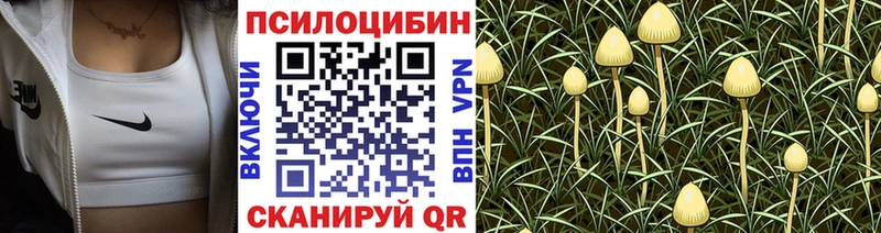 Галлюциногенные грибы мицелий  Купить  Благодарный 